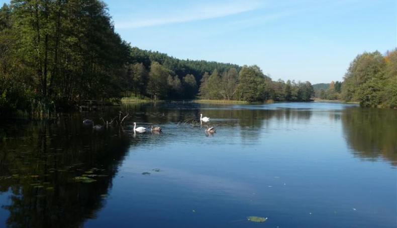 Suwalski Park Krajobrazowy, fot. Renata Siepka