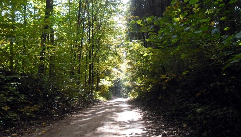 Wigierski Park Narodowy, fot. Iza Kosakowska